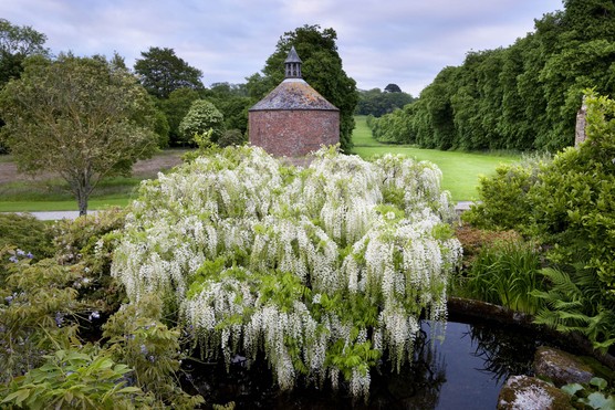 Antony, National Trust Images/Andrew Butler