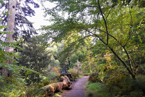 Ardkinglas Woodland Garden & Gruffalo Trail