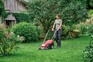 Top lawn care tips. Einfell