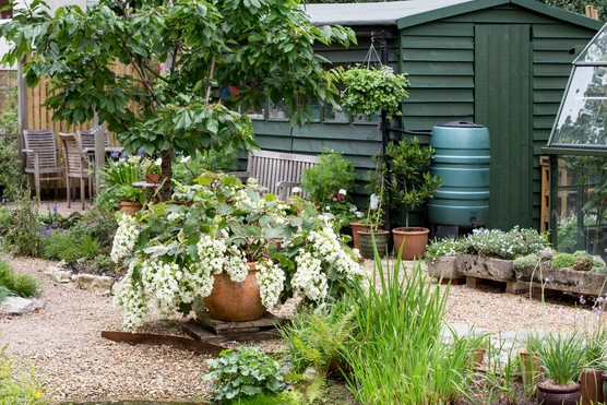 A rain-wise garden. Paul Debois