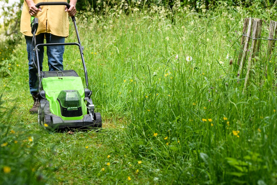 Mowing a path through wild lawn. Jason Ingram