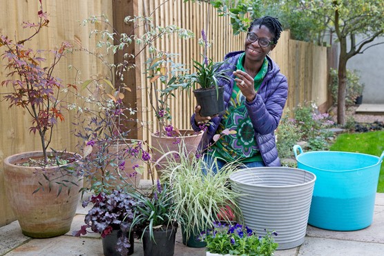 Flo Headlam plants up a container
