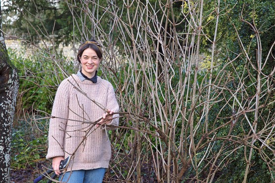 Pruning sambucus with Frances Tophill