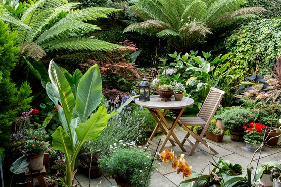 Small patio garden. Paul Debois