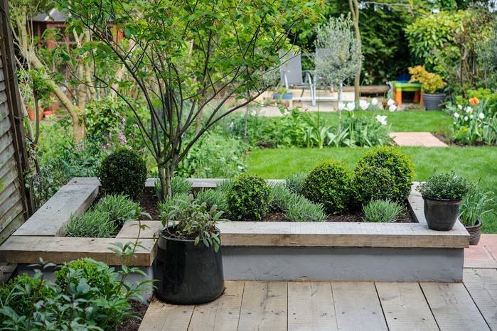 A raised bed in a small garden