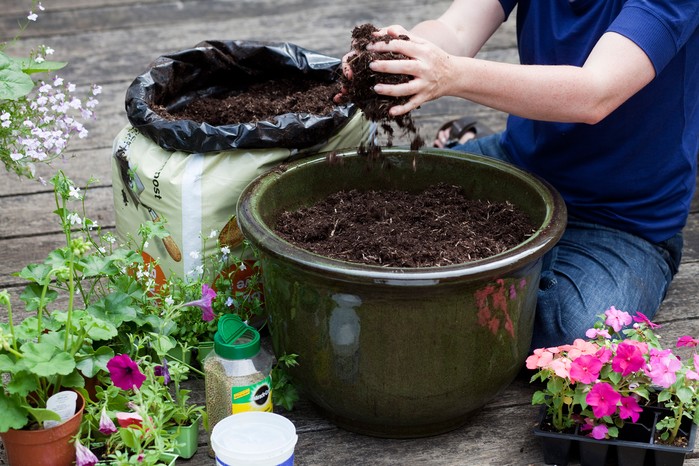 Adding compost to a container, before planting