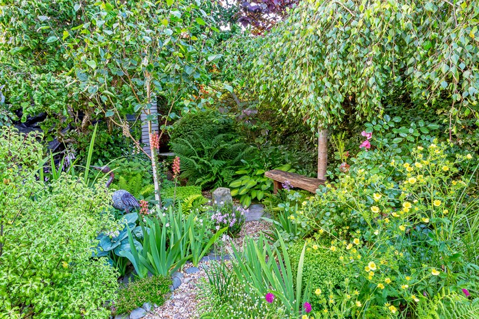 A seating area surrounded by woodland planting