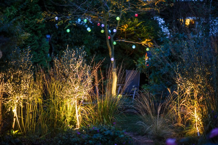 Lanterns and spot lights highlight trees and grasses