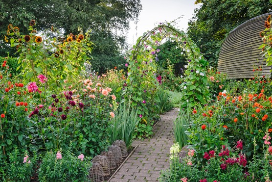 Brick pathway through summer borders.