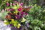 Green and purple summer container