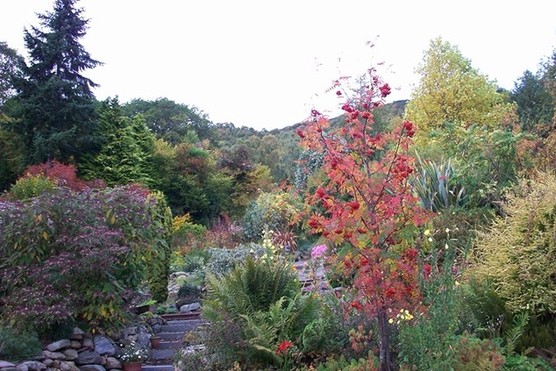 Abriachan Gardens