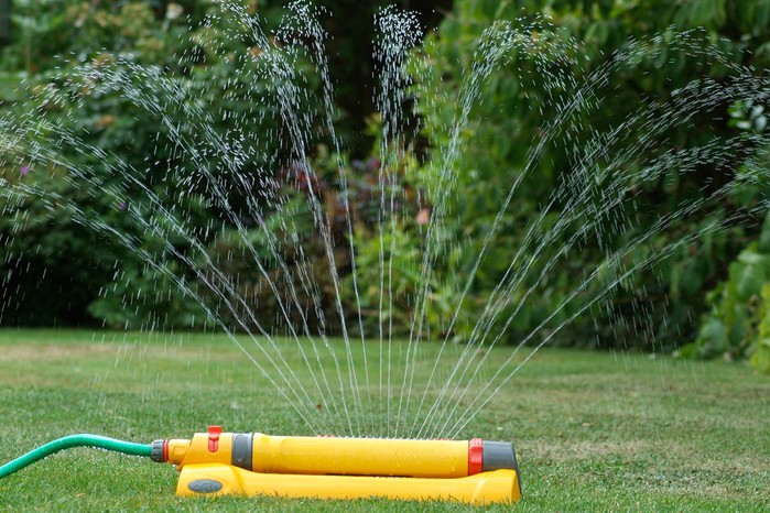Lawn sprinkler in action