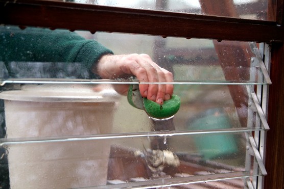 How to tidy and clean your greenhouse