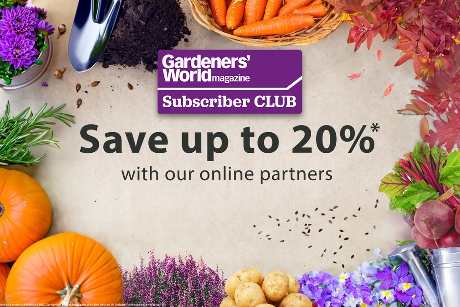Save up to 20% with our online partners