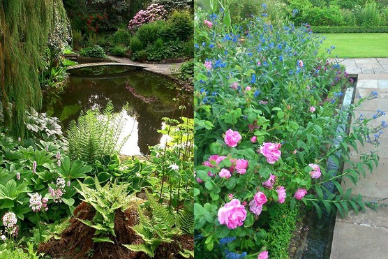 Bide-a-Wee Cottage Gardens