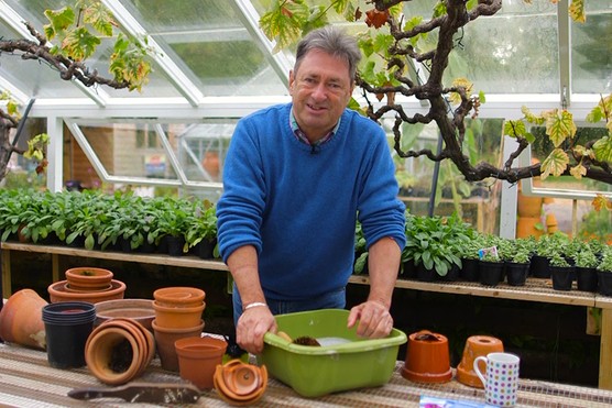 https://www.gardenersworld.com/how-to/maintain-the-garden/tidying-the-garden-in-winter/