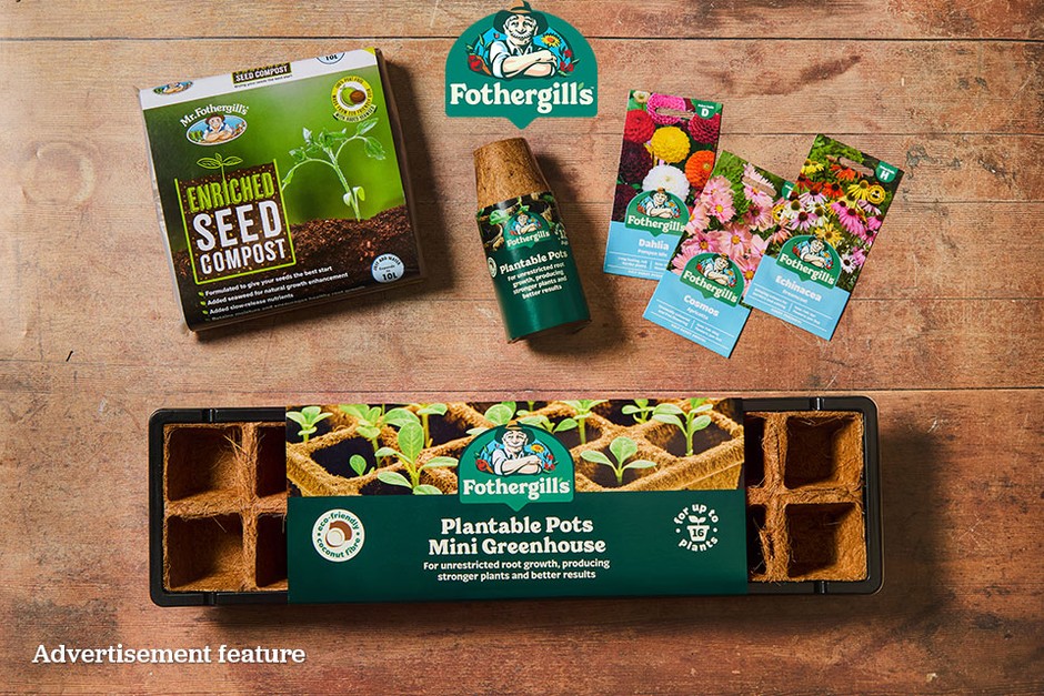 "Wooden table displays Fothergill’s seed-sowing starter bundle featuring: 10L Peat Free Seed Compost; 1 x 12 x 6cm Plantable Pots (coconut fibre); 1 x Dahlia Pompon Mixed Seeds (50 seeds); 1 x Cosmos Apricotta Flower Seeds (30 seeds); 1 x Echinacea Large Flowered Purple Coneflower Seeds (50 seeds); 1 x Plantable Pots Greenhouse Kit (for 16 plants)