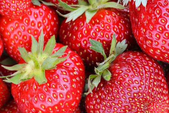 Strawberry ’Sweet Colossus’