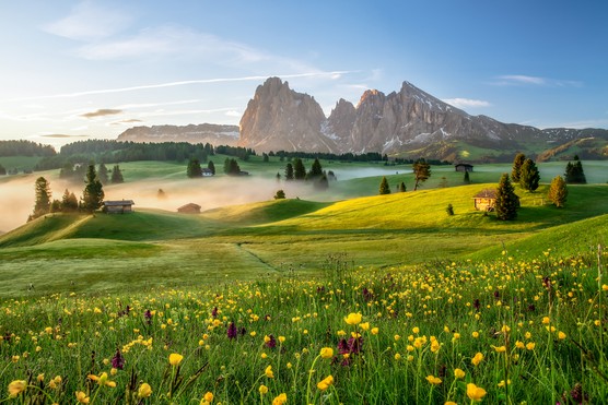 Alpe di Suisi meadow in South Tyrol
