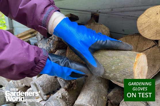 Best gardening gloves 2025 hero image