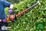 Hedge trimmers category page hero image: Stihl
