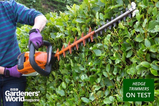 Hedge trimmers category page hero image: Stihl