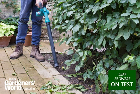 Leaf blower and vacuum category page hero image: Makita leaf blower