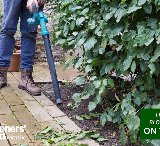 Leaf blower and vacuum category page hero image: Makita leaf blower