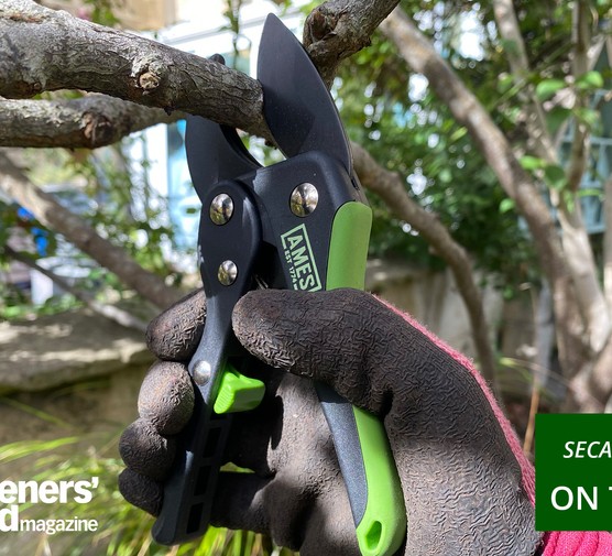 Secateurs category page hero image: Ames Ratchet in use