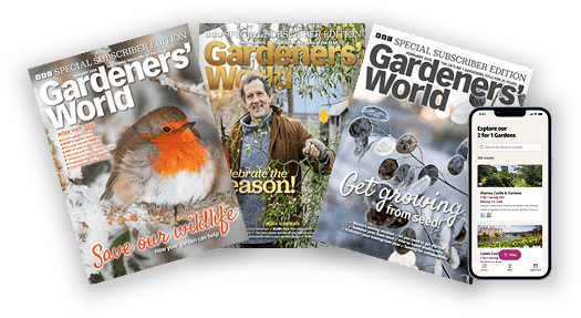 Image of magazine covers and the mobile and tablet app