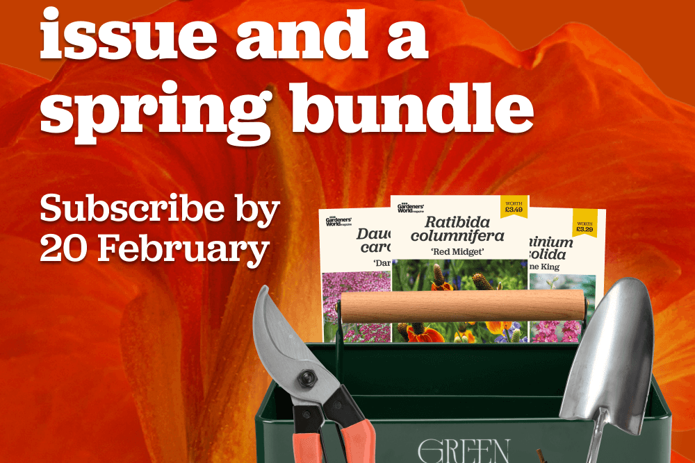 Get you April Issue and Spring Bundle